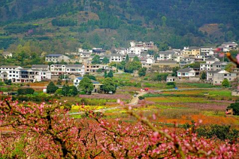 贵阳2021永乐桃花赏花攻略（地址+交通指南+花期）