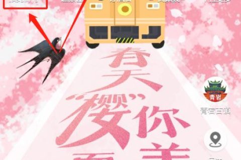 2022年贵安平坝樱花园赏花提示（疫情防控+预约流程）