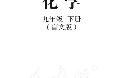 盲校义务教育实验教科书化学九年级下册PDF高清文档下载