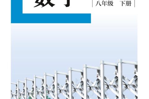 盲校义务教育实验教科书数学八年级下册（供低视力生使用）PDF高清文档下载
