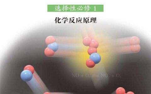 普通高中教科书·化学选择性必修1 化学反应原理（鲁科版）PDF高清文档下载