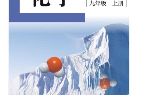 盲校义务教育实验教科书化学九年级上册（供低视力生使用）PDF高清文档下载