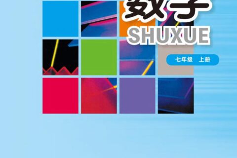 义务教育教科书·数学七年级上册（华东师大版）PDF高清文档下载